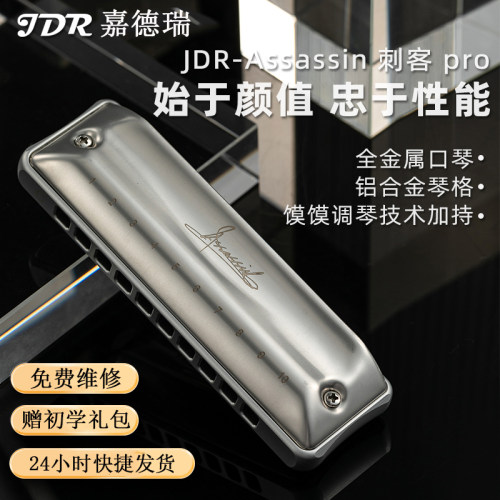JDR嘉德瑞AssassinPro刺客蓝调布鲁斯十孔口琴成人专业演奏paddy