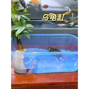 乌龟缸家用养乌龟专用缸大号爬梯水陆两栖生态缸干湿分离造景龟盆