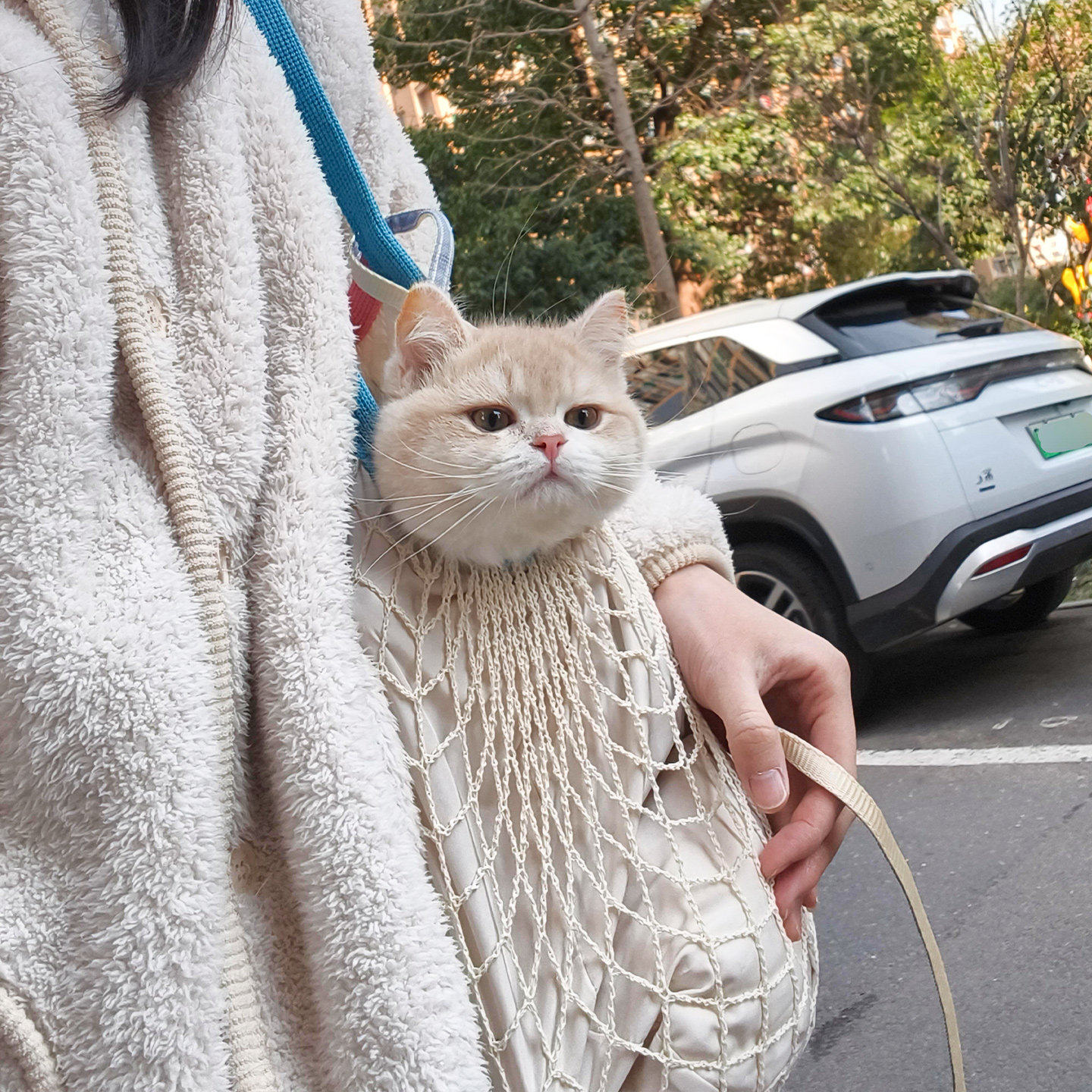 猫包外出便携轻便款大容量单肩包小猫防应激逛街神器宠物出行包