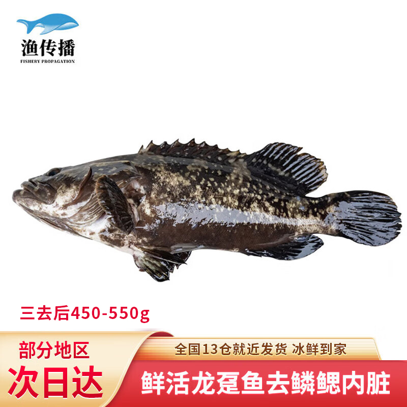 活鱼现杀龙趸石斑鱼源头直发