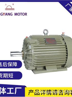 机械设备用三相异步电动机YE3-160L-6P11W千瓦纯铜马达电机