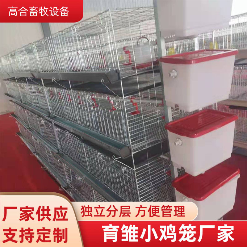 育雏小鸡笼子厂家立体式四层脱温鸡苗肉鸡笼冷镀锌鸡笼设备供应