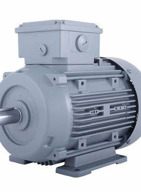 E-SCHAEFER电机TE Q3E FA 132 M2A