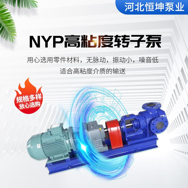 nyp高粘度转子泵铸铁电动输送转子泵保温凸轮转子泵微型转子泵