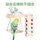 鹦鹉爬梯云梯站台秋千牡丹玄凤梯子攀爬架专用小鸟玩具鸟用跳板