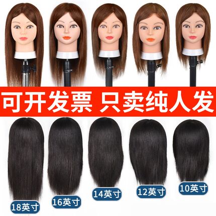 全真发头模美发头模纯人发学徒剪发练习公仔头烫发发廊专用假人头