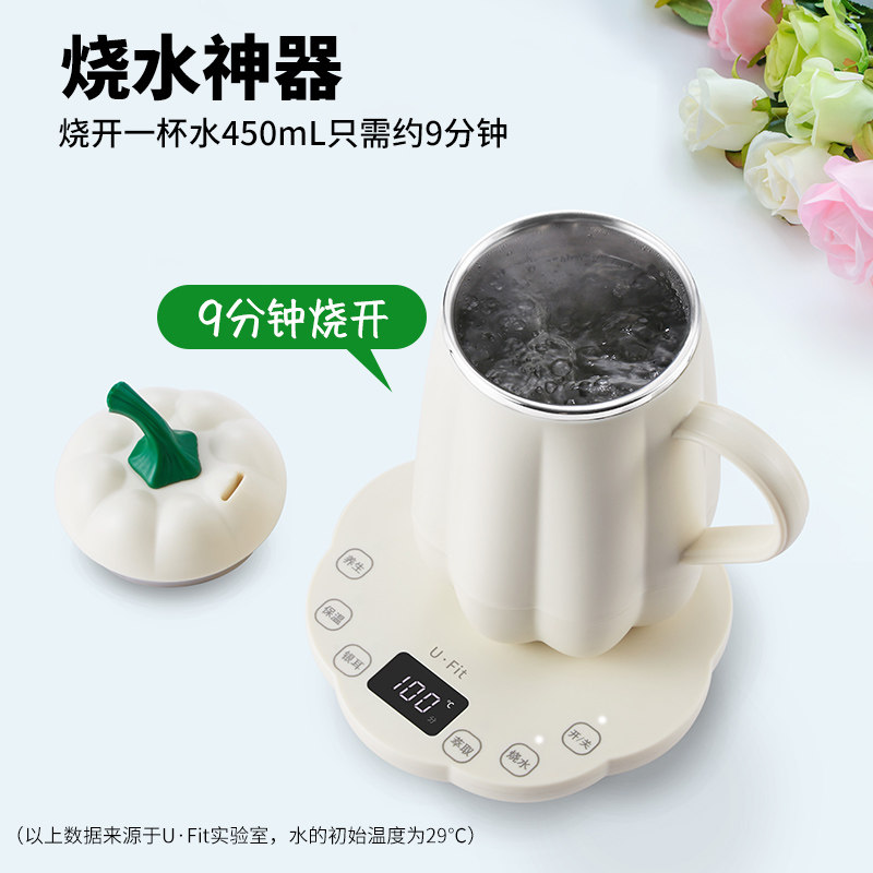 一人煮茶杯办公室祛湿茶咖啡小型保温花茶银耳电炖杯多功能养生杯