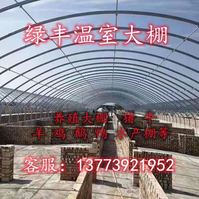 猪圈骨架架保殖养养鹅大鸡场A全套猪舍钢管牛羊棚椭圆大养温