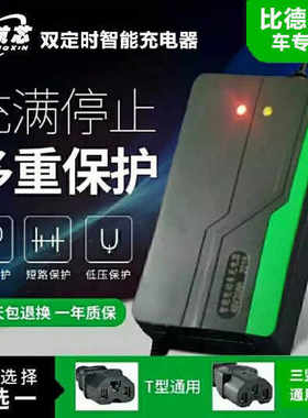 极速比德文电动车原装智能充电器48V12Ah60V20Ah3072V36V原厂专用