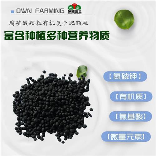 铁树专用肥料硫酸亚铁防黄叶室内户外大型小型盆栽通用有机肥颗粒