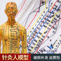 针灸人体模型医用扎针练习小皮人十二经络穴位图模特软胶扎针练习
