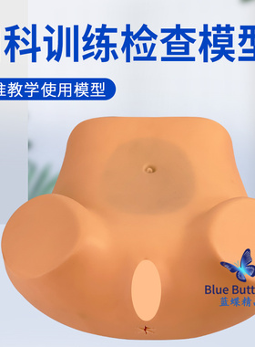 妇科检查模型 妇科训练模型 妇产科技能操作训练模型医学用教学具