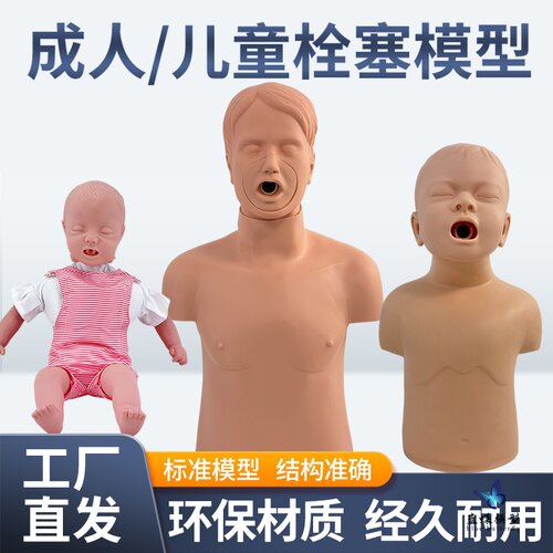 蓝蝶模型海姆立克急救训练模拟人