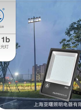 上海世纪亚明FG11b泛光灯300W400W500W工地探照灯塔吊投光灯亚牌