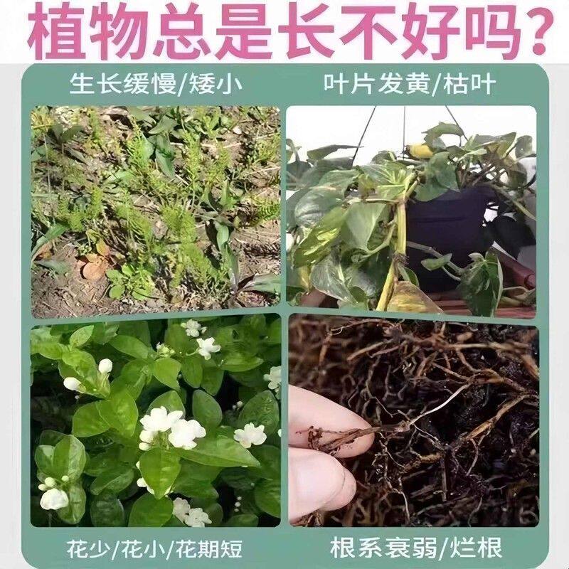 营养液植物通用型绿萝富贵竹发财树多肉水培养花卉绿植盆栽花肥料
