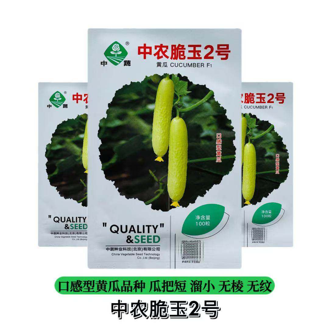 中农脆玉2号黄瓜种子春秋白黄皮黄瓜种子雌花率高丰产甜脆蔬菜籽