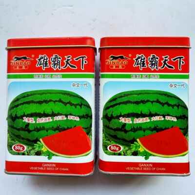 赣新雄霸天下花皮红瓤西