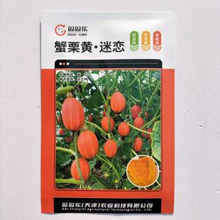 蟹栗黄 迷恋 贵族南瓜种子 粉糯香甜厚肉高产抗病商品性佳 春季播