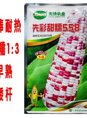先迪农业先彩甜糯558玉米种子种孑甜糯1比3春秋季播杂交玉米种籽