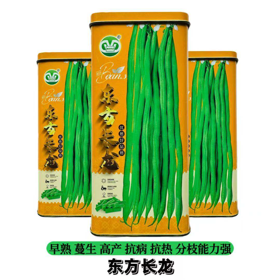 东方长龙小金豆早熟高产豆角种子荚长无筋架豆籽抗寒耐热春秋菜豆,农用物资,蔬菜种子/种苗,淘宝优惠券,粉丝福利购,淘宝优惠卷