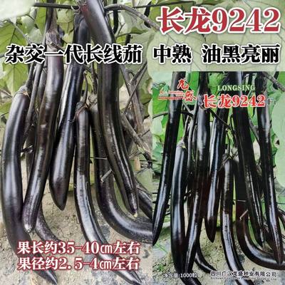 龙盛黑长茄子种924线籽油
