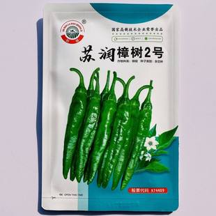 正宗苏润樟树2号辣椒种籽樟树辣椒种子湖南清香农家小辣椒青椒种