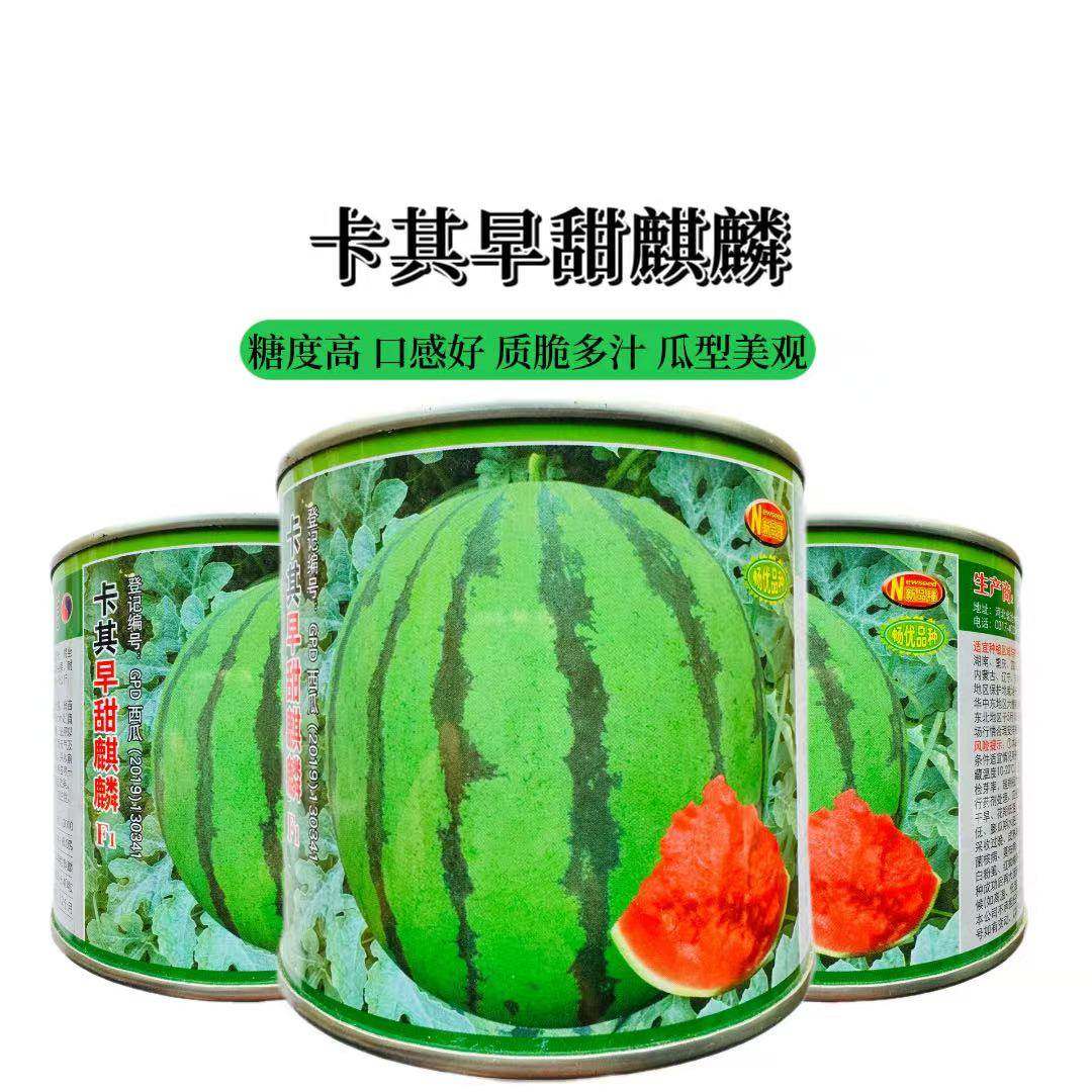 卡其早甜麒麟F1西瓜种子籽大果糖度高沙瓤薄皮耐贮运耐裂抗病早熟