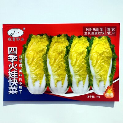 四季火娃快菜种子小青菜