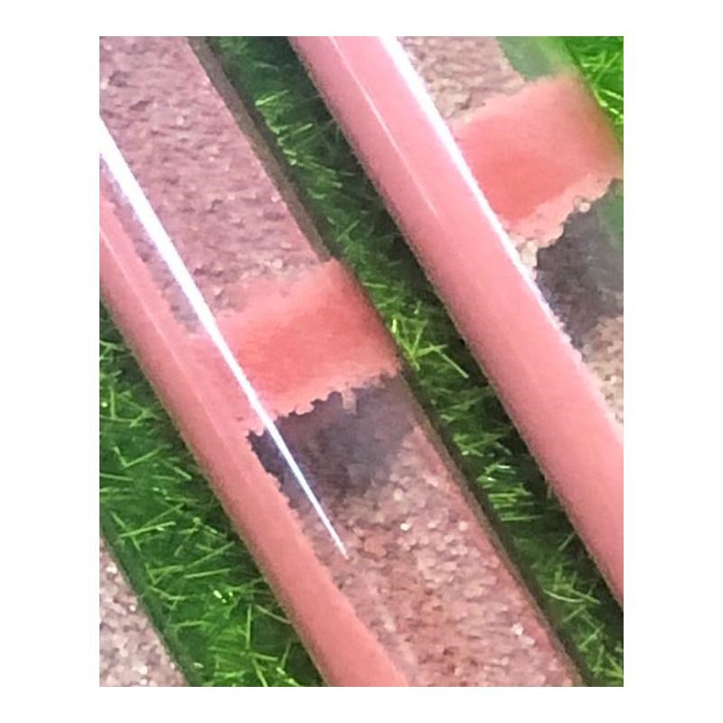 Easy moisturing  sand DIY Ecological Ant Farm Bamboo Test Tu