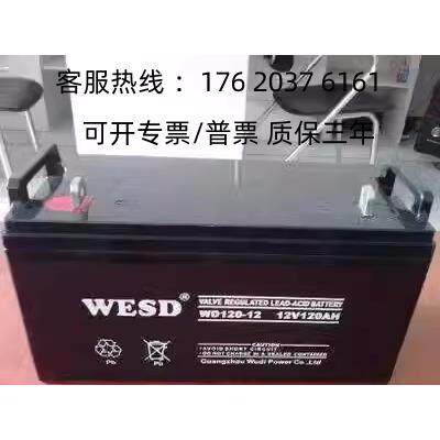 WESD无敌蓄电池12V100AH太阳能主机WD100-12通讯路灯直流屏UPSEPS