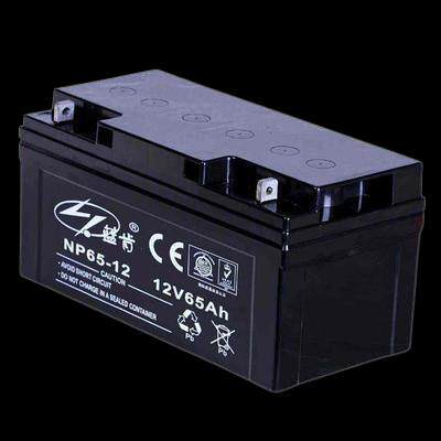 蓝肯蓄电池NP100-12 12V100A65A38A24A17A150A200AH UPS机房照明