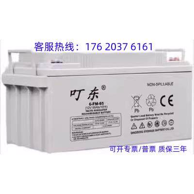 叮东蓄电池6-FM-38 直流车挂
