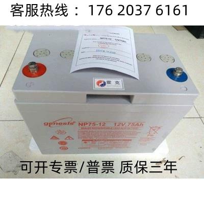 Genesis霍克NP65-12R太阳能12V65AH消防路灯直流屏通讯基站蓄电池