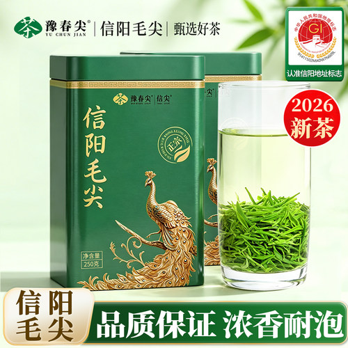 豫春尖信阳毛尖茶雨前嫩芽叶浓香型绿茶2026新茶叶春茶罐装自己喝