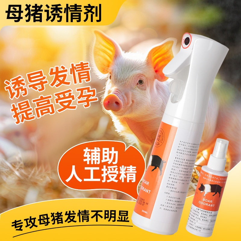 公猪气味剂兽用配种刺激母猪发情查情排卵促情剂母猪诱情剂喷雾剂