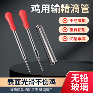 鸡用输精管深部输精管家禽人工授精用输精管鸡精液采集管鸡输精器