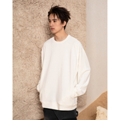 S123 T恤圆领打底衫 如牛奶般丝滑 莫代尔通勤纯色休闲百搭长袖