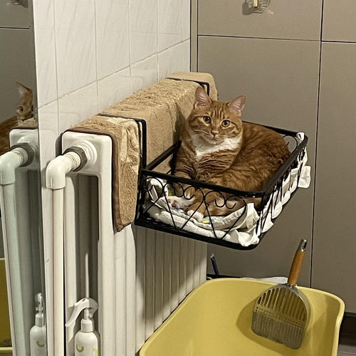 悬挂式猫窝四季通用宿舍家用暖气片旁猫吊床冬季阳台晒太阳猫爬架