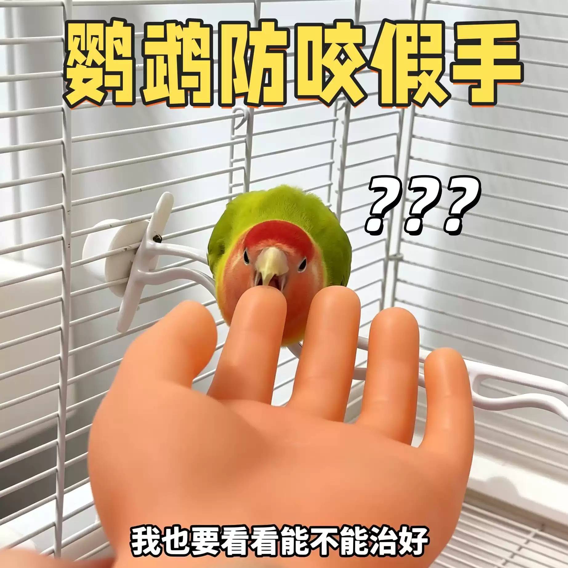 鹦鹉防咬假手道具仿真脱敏训练手图片