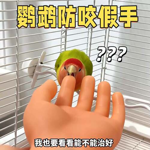鹦鹉防咬假手道具仿真脱敏训练手
