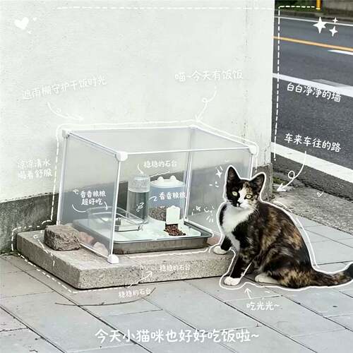 流浪猫户外环保透明遮雨窝+套装