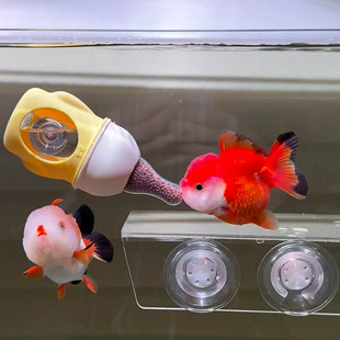 【金鱼自动喂食器】喂鱼奶瓶手工diy改造小型定量饲料鱼缸投食器