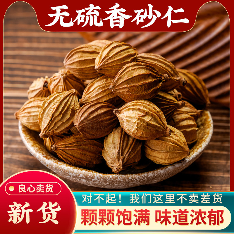 香砂仁中药材500g料沙卤
