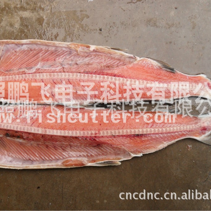 去鱼骨刺全自动鱼类机械