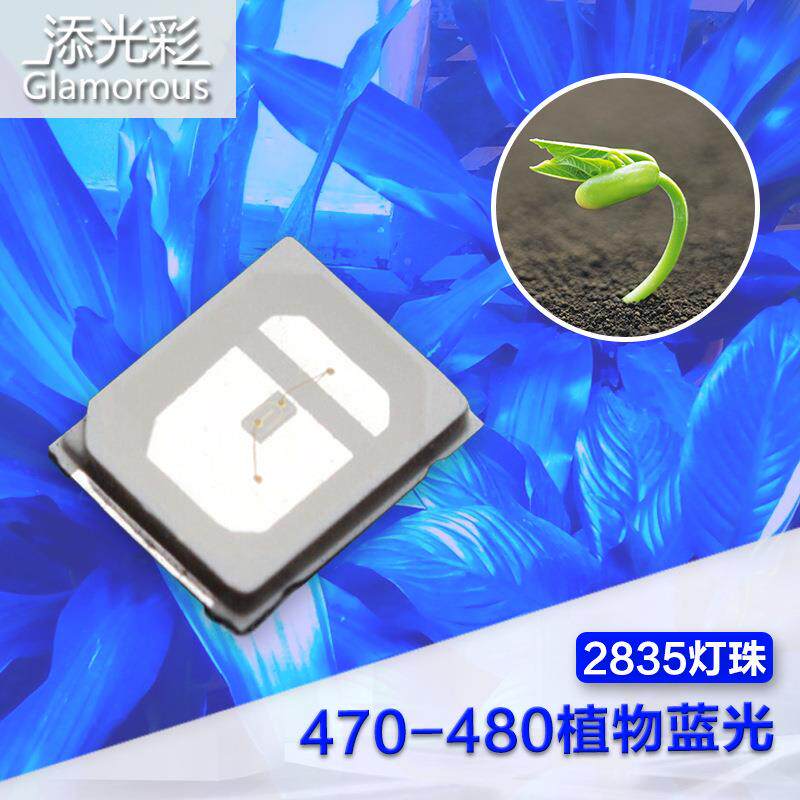 MYI28灯5紫光灯珠28紫光灭蚊珠285U紫光灯V珠植5物生长灯珠95nm