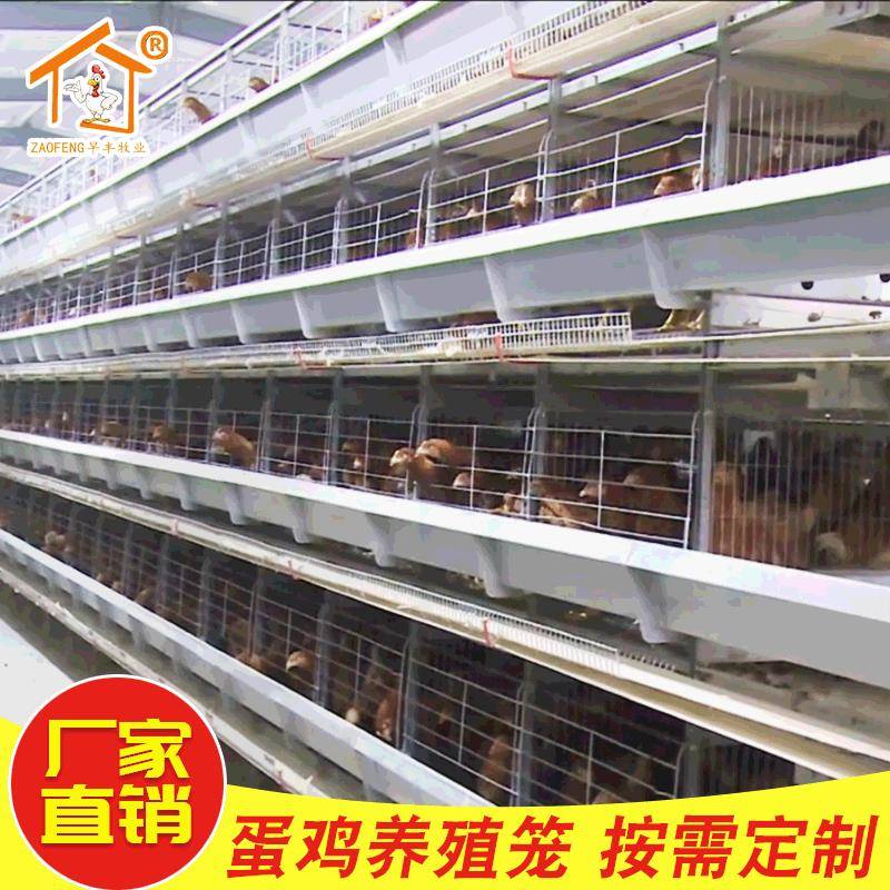 蛋鸡养料殖自动上笼水清粪喂收蛋镀锌养OFO鸡设备蛋鸡笼镀现货锌