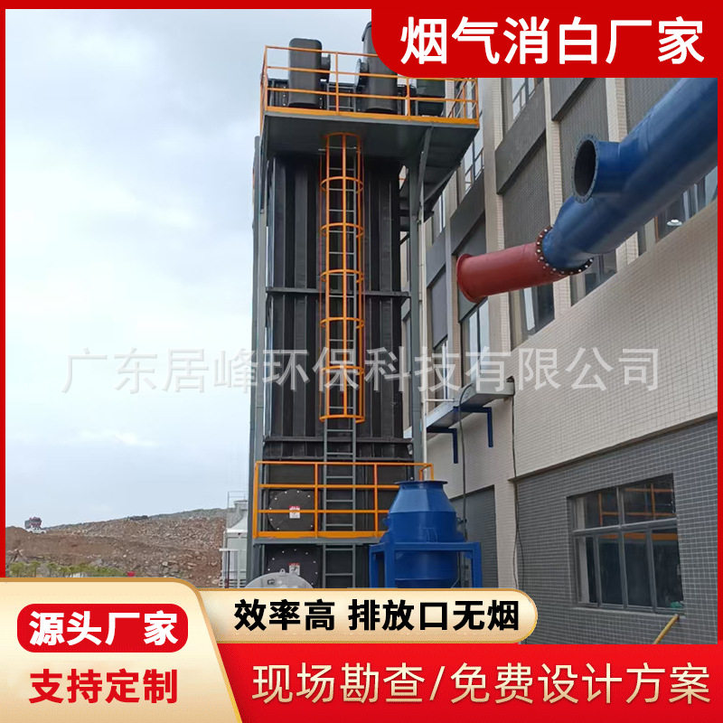 固废焚烧烟气消白除白净化设备