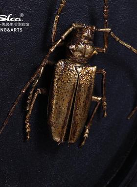 昆挂意家居家CF217027装墙饰壁挂饰壁挂创装饰虫天牛摆饰树脂工艺