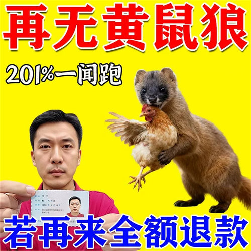 驱黄鼠狼专用药养鸡防黄鼠狼神器养殖场强力气味驱赶吓克黄鼠狼星