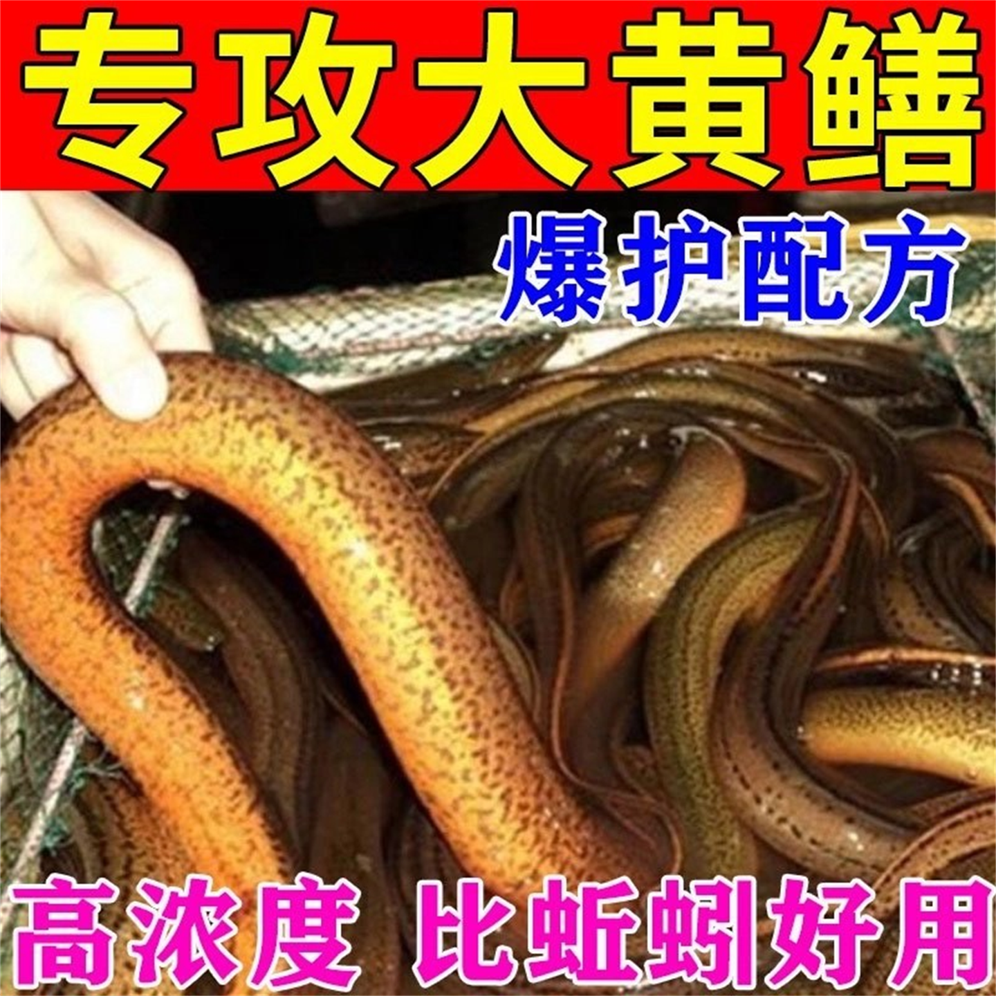 黄鳝小药抓捕鳝鱼专用饵料泥鳅鳝